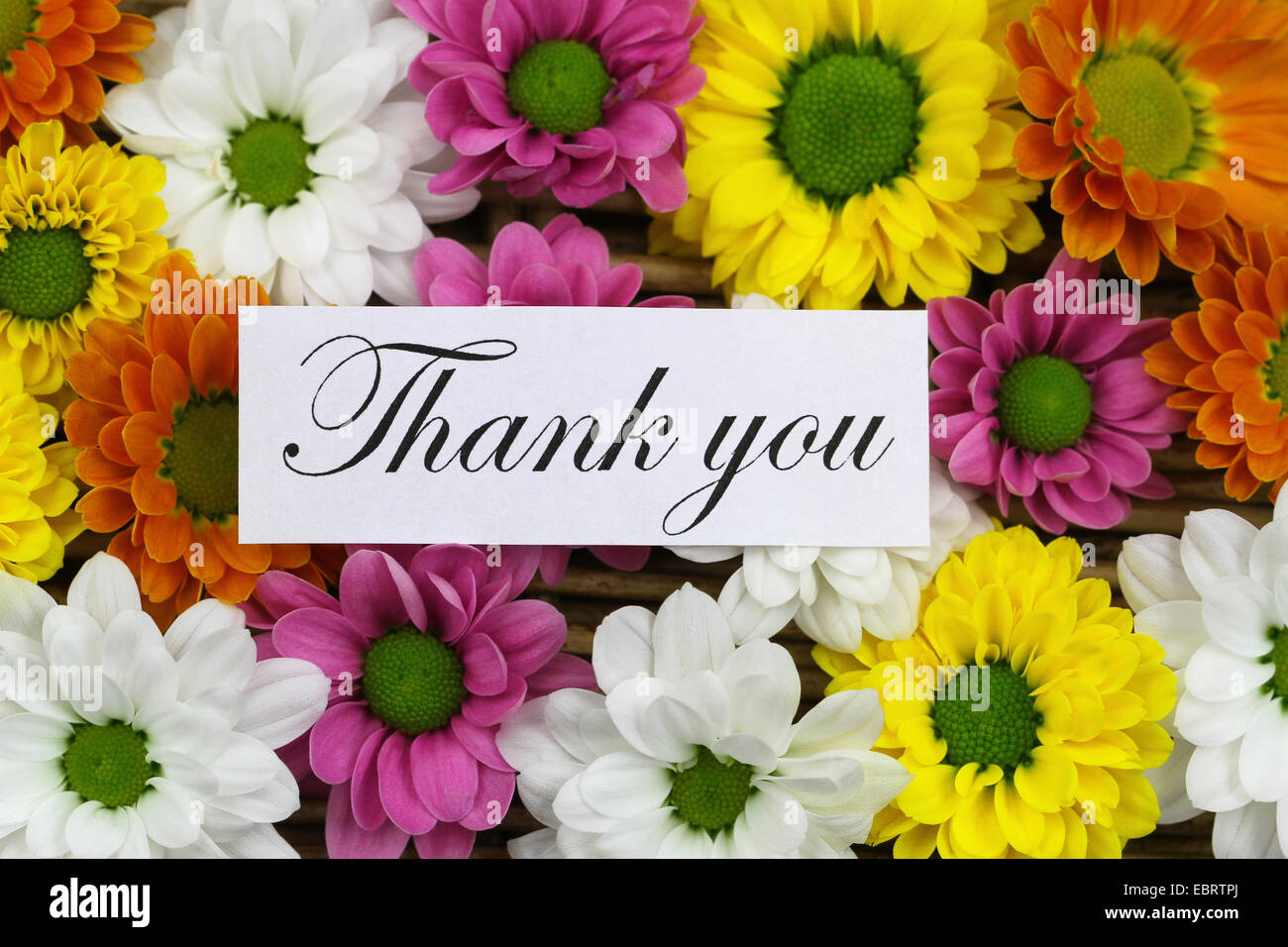 Thank you card with colorful flowers hi-res stock photography and ...