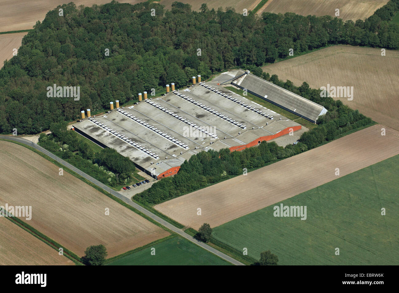 Battery farm gehrde hires stock photography and images Alamy