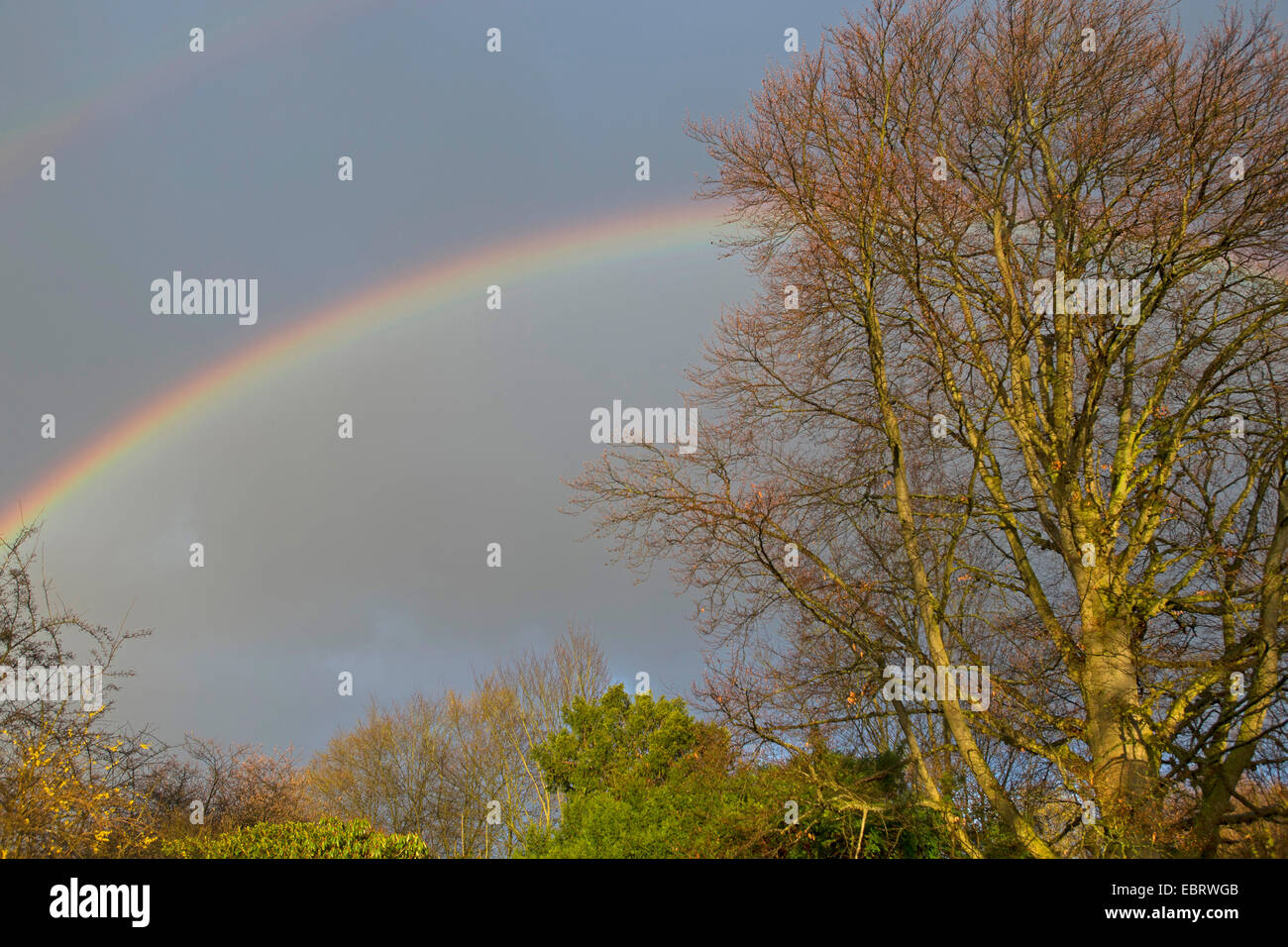 double rainbow, Germany Stock Photo