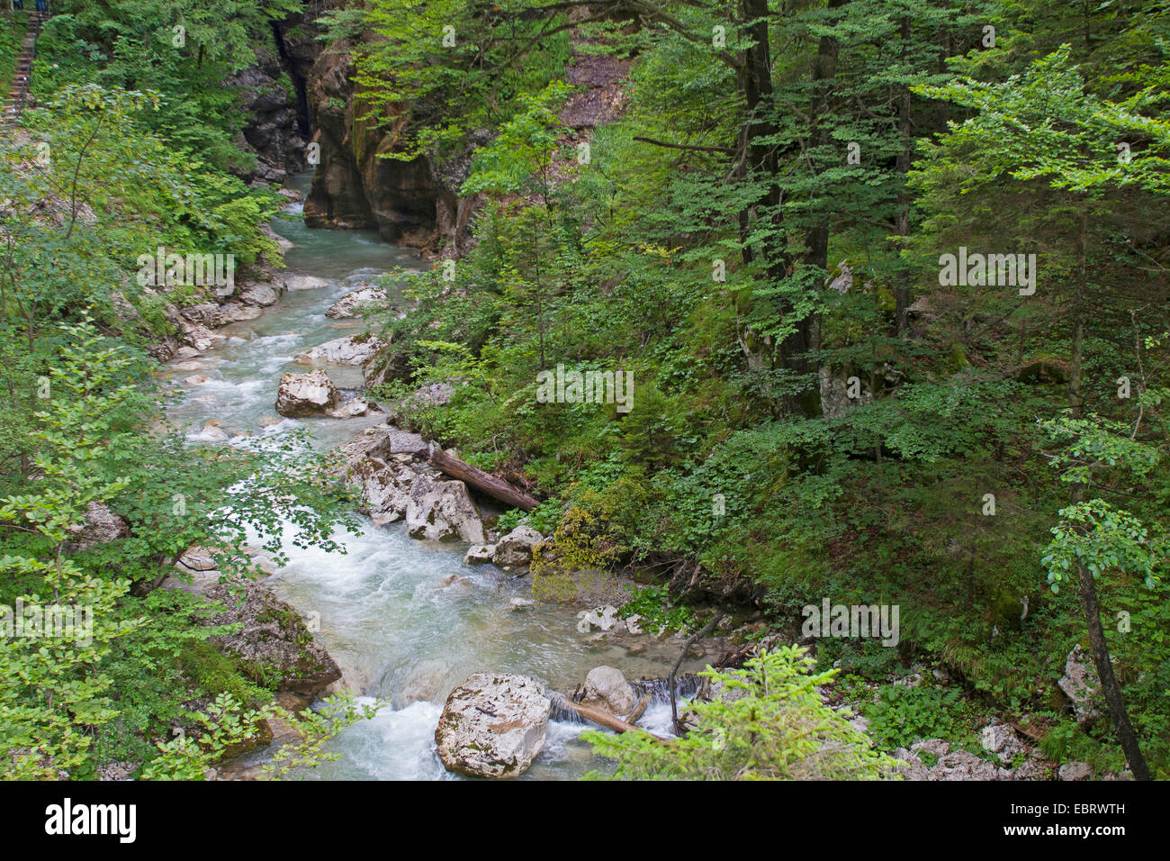Tscheppaschlucht gorge with Loiblbach creek, Austria, Kaernten Stock Photo