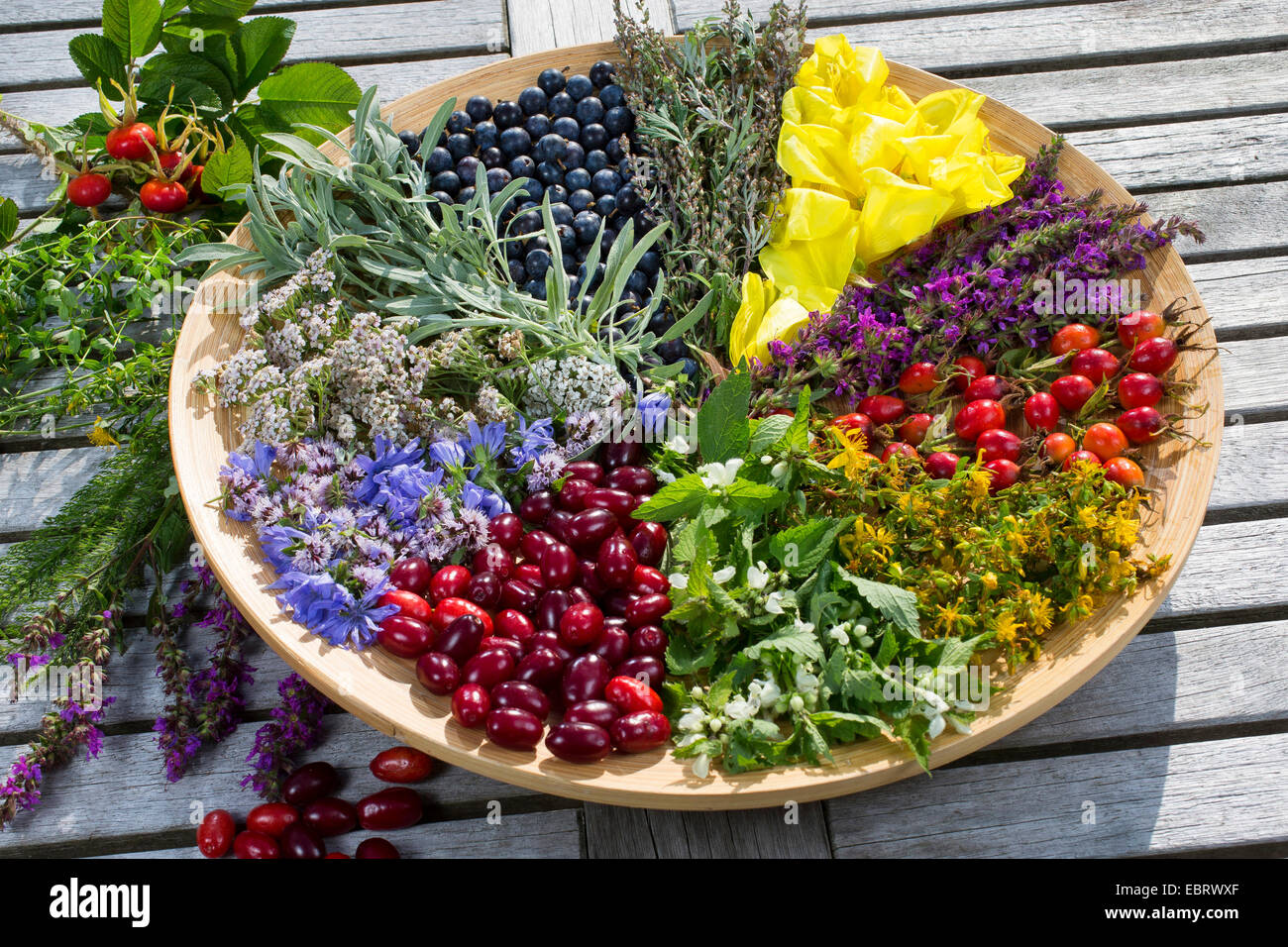 platter with late summer flowers and fruits , Germany Stock Photo