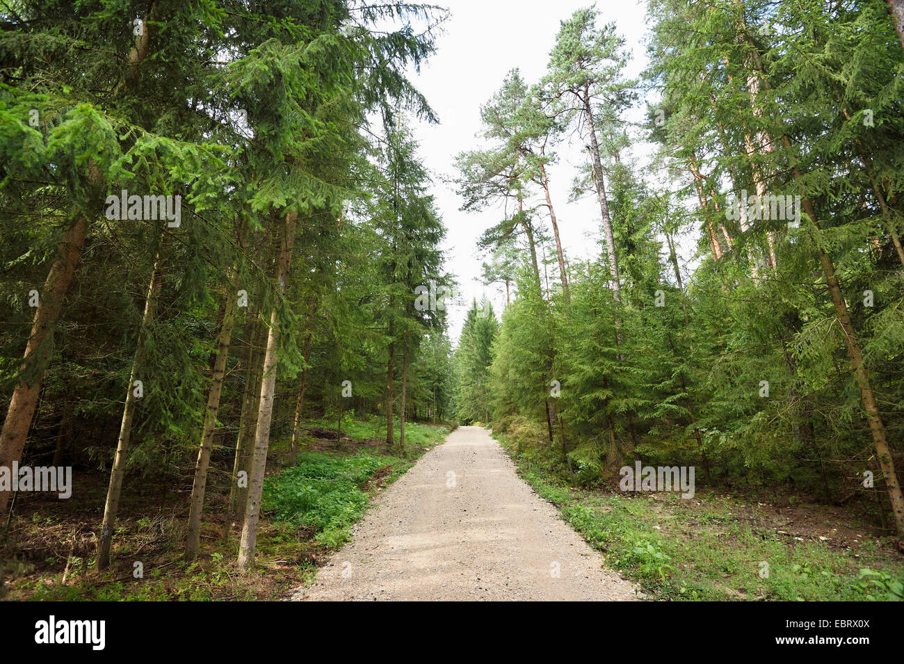 Unfixed Stock Photos Unfixed Stock Images Page 3 Alamy