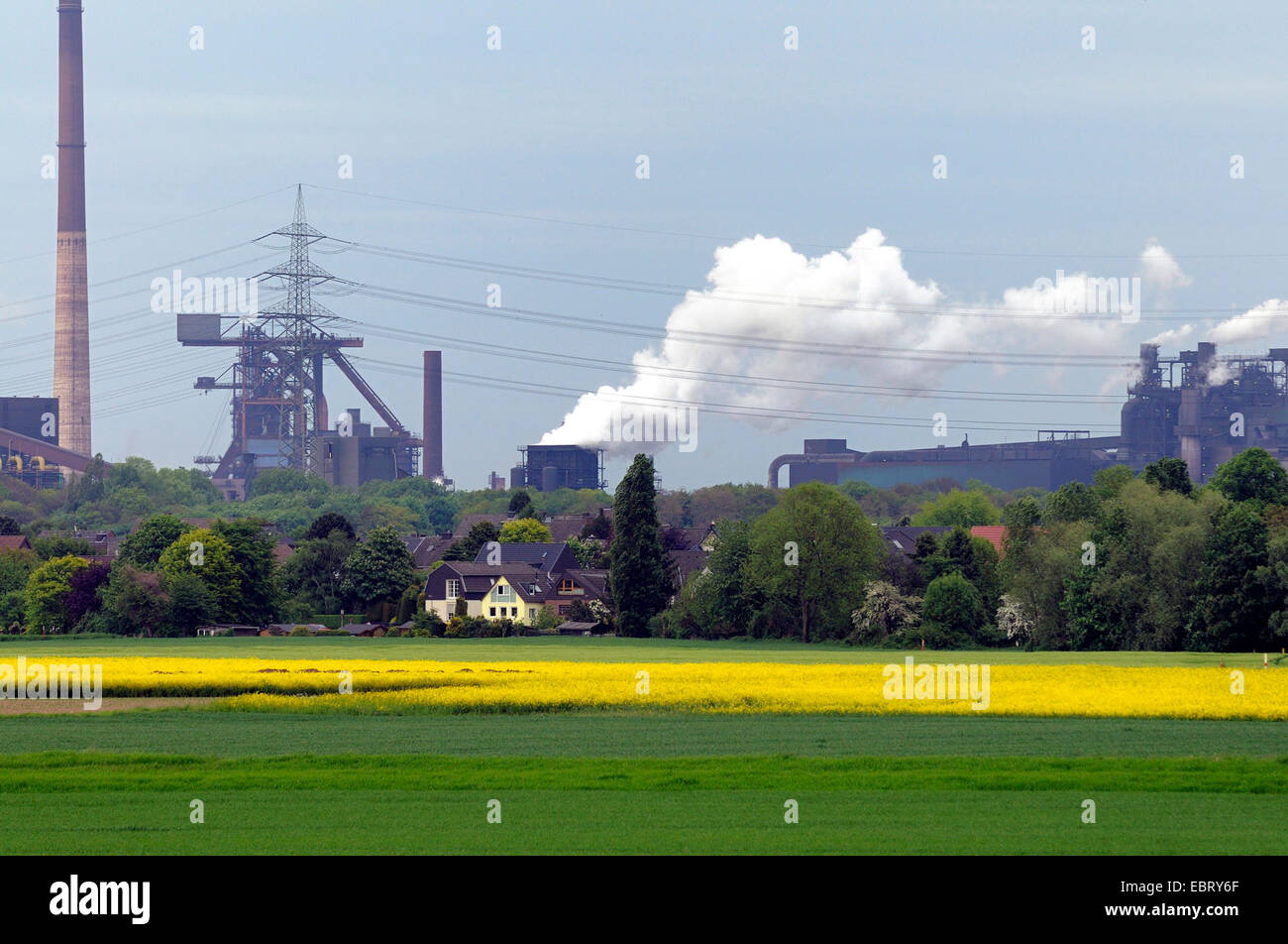 industrial scenery of Duisburg with rapefield in the foreground, Germany, North Rhine-Westphalia, Ruhr Area, Duisburg Stock Photo