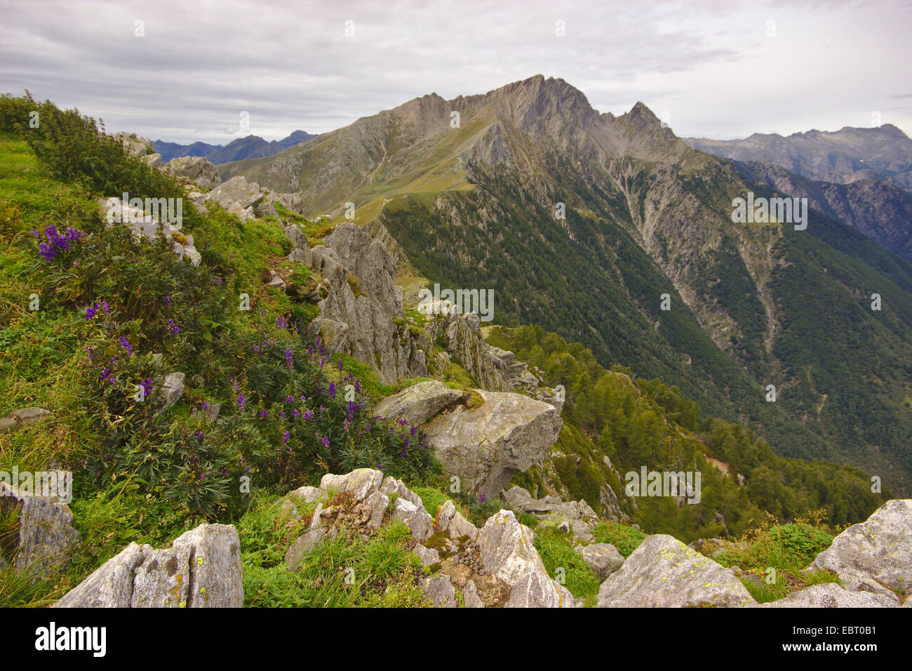 Pizzo Sasso Canale seen from Monte Berlinghera above Lake Como, Italy, Lake Como Stock Photo