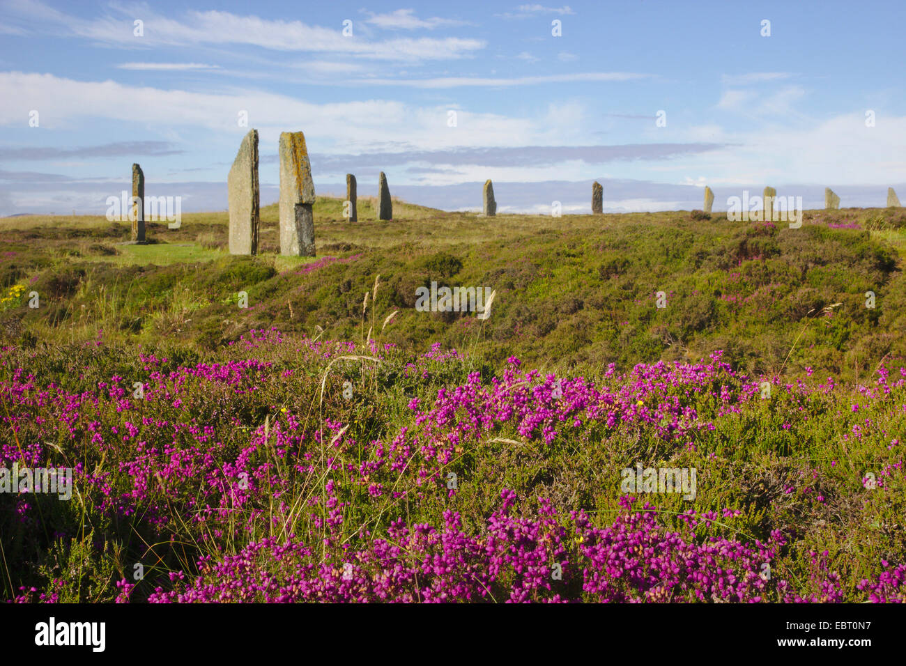 Ring of Brodgar neolithic henge , United Kingdom, Scotland, Orkney, Orkney Mainland Stock Photo