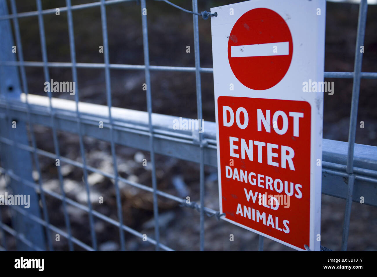 sign on gate to wild boar enclosure, United Kingdom, Scotland, Alladale Stock Photo