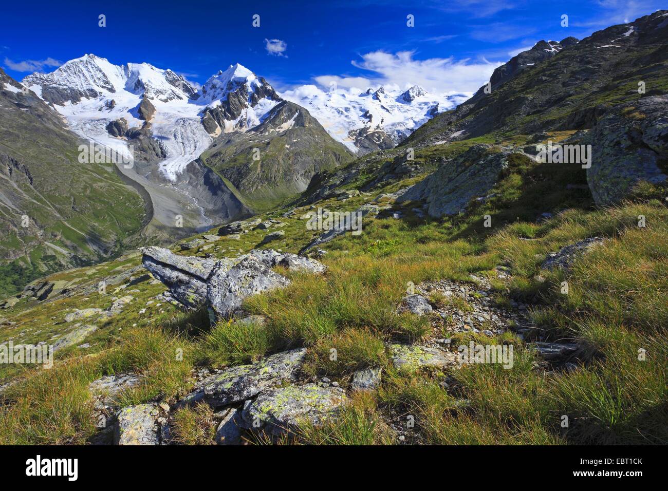 view from Fuorcla Surlej onto Piz Tschierva-3546 m, Piz Bernina-4049 m, Biancograt, Piz Roseg-3937 m, Switzerland, Grisons, Engadine Stock Photo