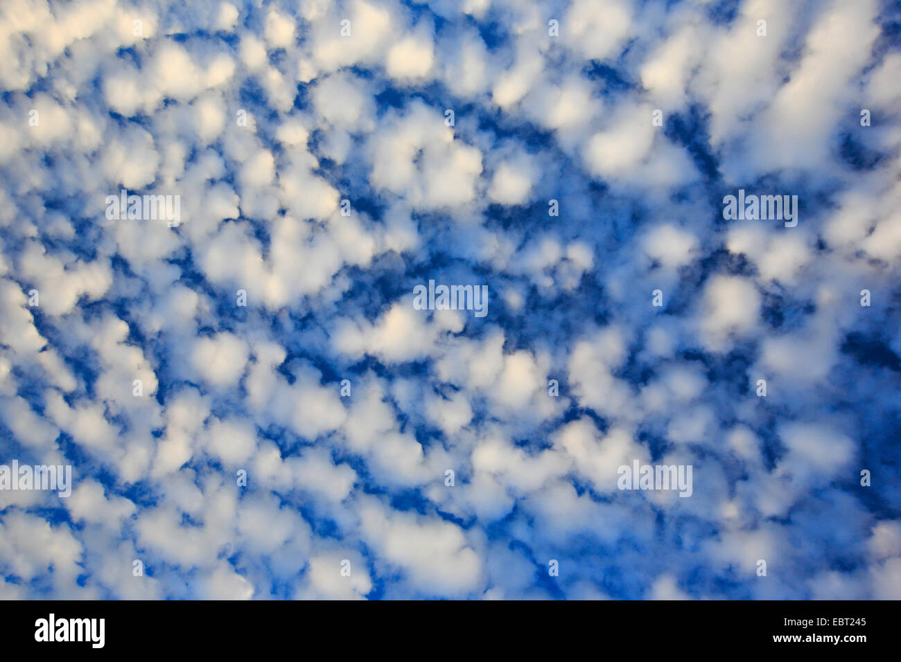 blue sky with altocumulus clouds, Switzerland Stock Photo