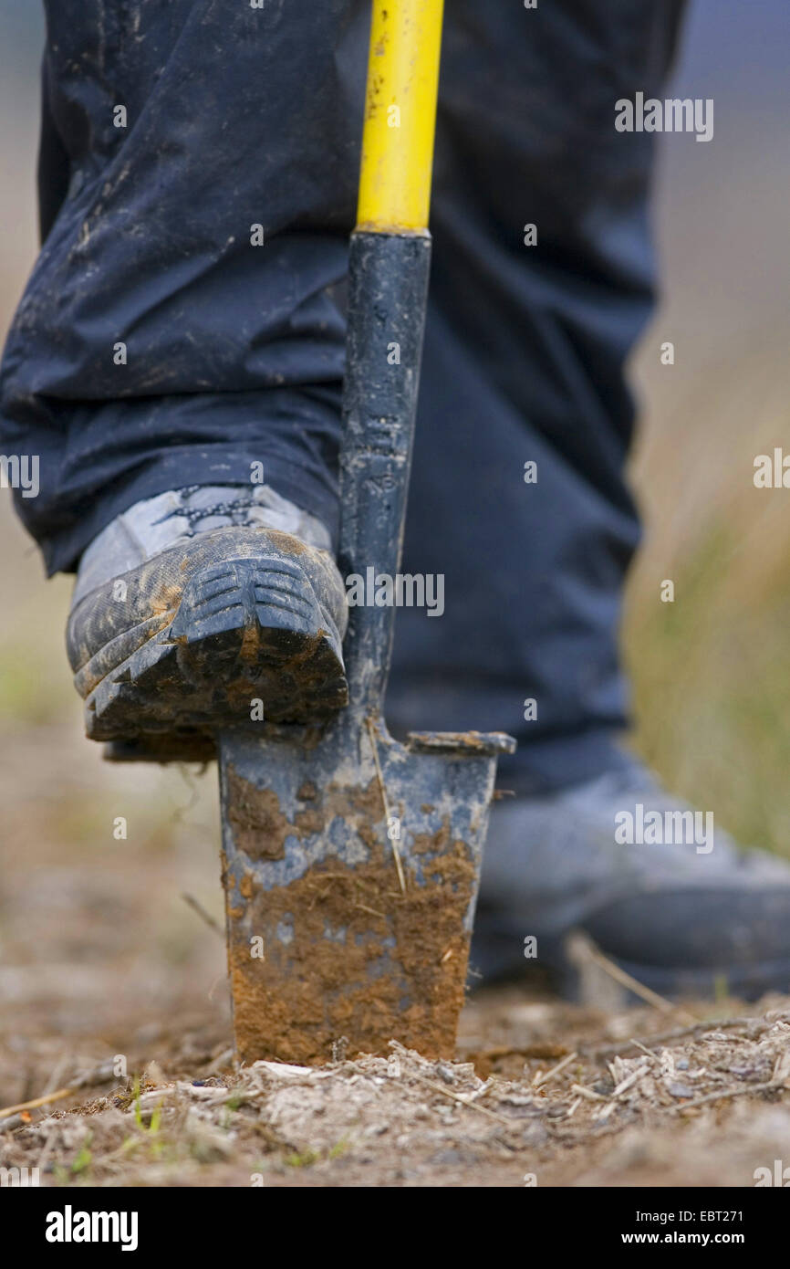 Tree spade planting woodland hires stock photography and images Alamy