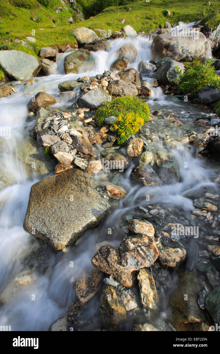 mountain brook at the Julier Pass, Switzerland, Grisons Stock Photo