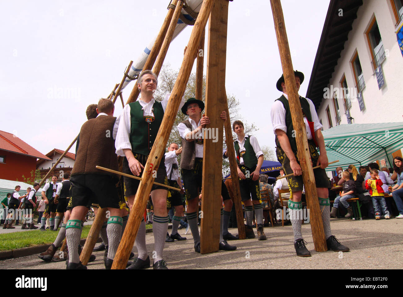 people lifting their maypole, Germany, Bavaria, Willing , Bad Aibling Stock Photo