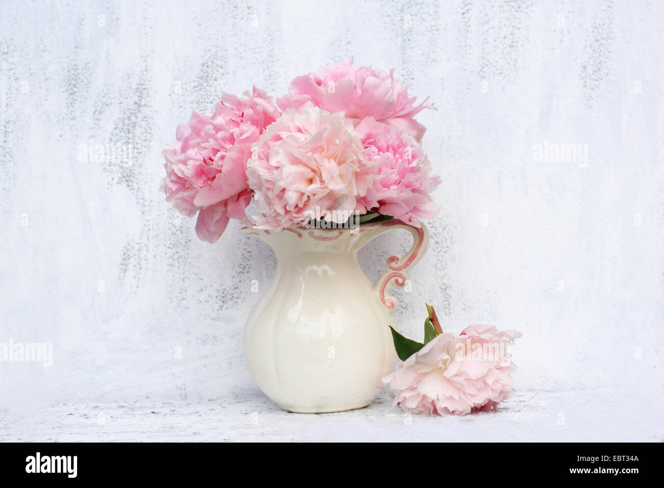 Beautiful pink peonies on white background, still life Stock Photo - Alamy