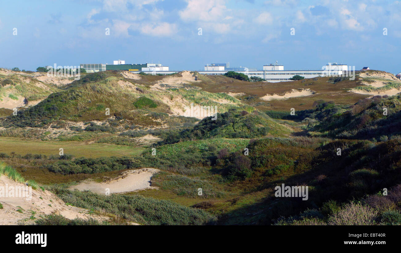 grass-grown dunes Coepelduynen at the North Sea Coast, European Space Research and Technology Centre in background, Netherlands, South Holland, Noordwijk aan Zee Stock Photo