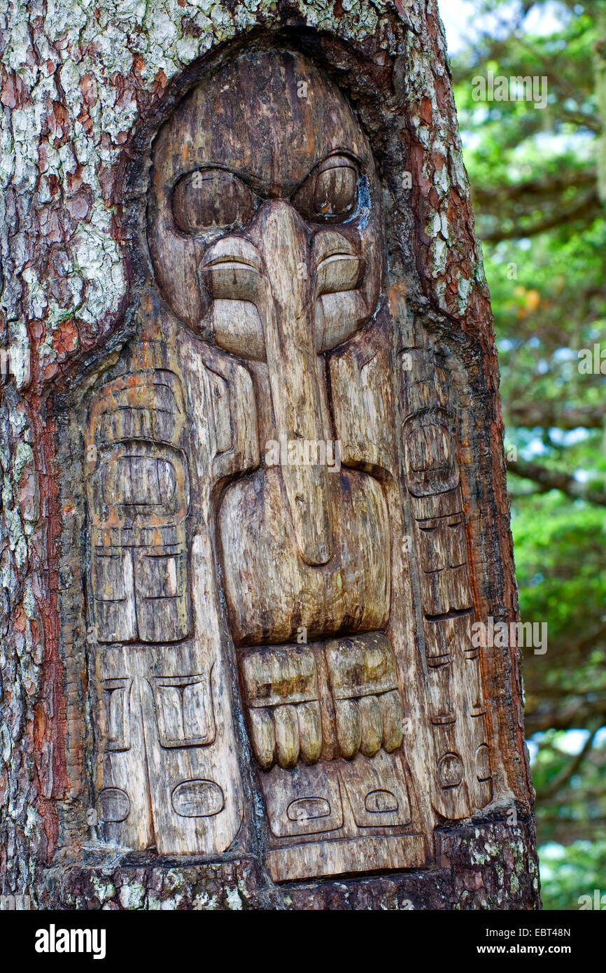 Tlingit carving at the trunk of a living tree pointing out the territory of the raven clan, USA, Alaska, Juneau Stock Photo