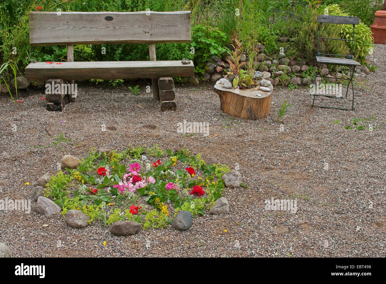 common lady's-mantle (Alchemilla vulgaris), wooden bench in front of flower arrangement in the shingle with blossoms and petals of rose, common poppy, lady's mantle and garden loosestrife, Germany Stock Photo