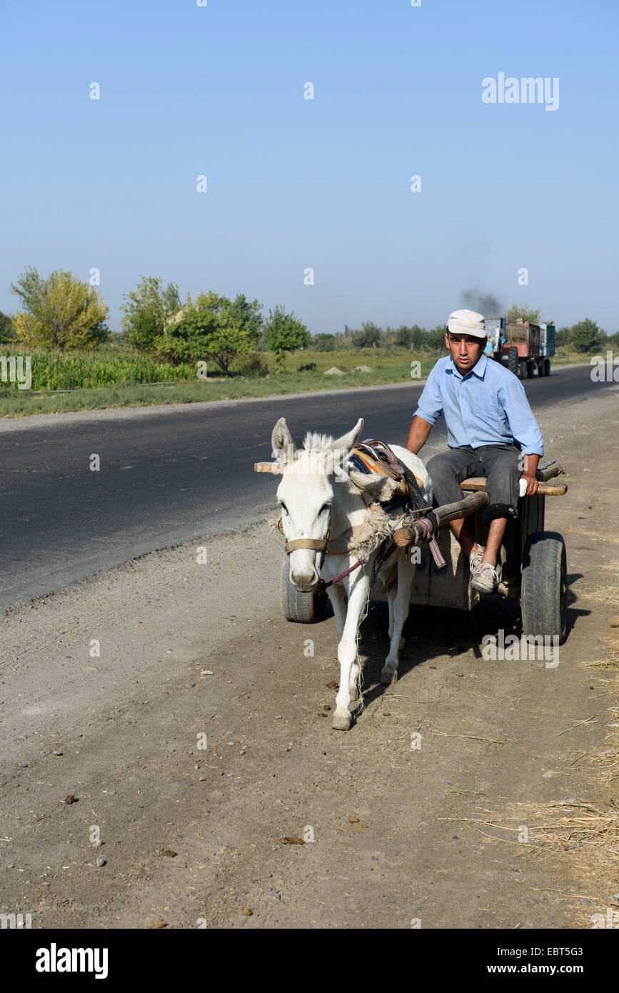 donkey cart near Chiwa, Uzbekistan, Asia Stock Photo