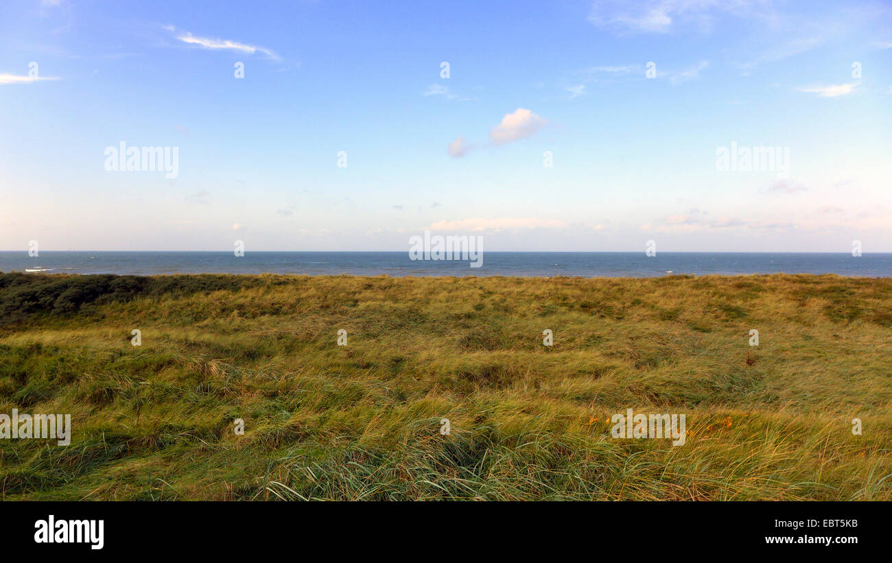 view over grass-grown dunes to the North Sea, Netherlands, South Holland, Coepelduynen, Noordwijk aan Zee Stock Photo