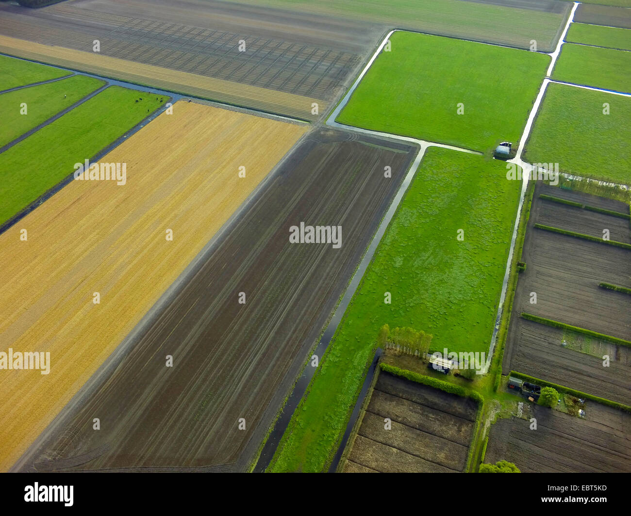 aerial view to typically Dutch field scenery, Netherlands, South Holland, Noordwijk aan Zee Stock Photo