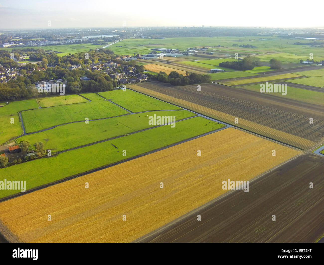 aerial view to typically Dutch cultivated landscape, Netherlands, South Holland, Noordwijk aan Zee Stock Photo