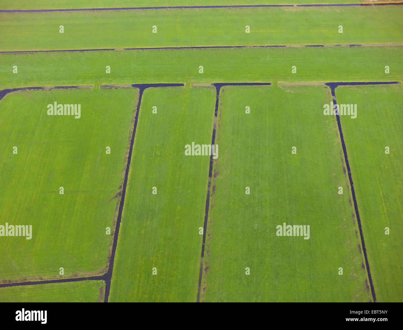 aerial view to typically Dutch meadow scenery, Netherlands, South Holland, Noordwijk aan Zee Stock Photo