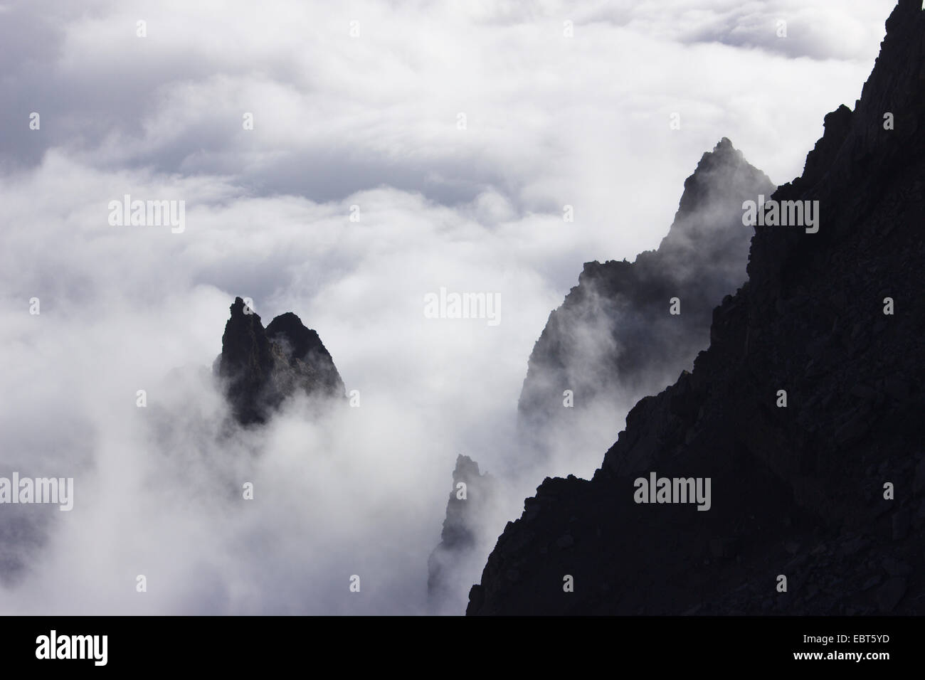 Piedra de palma hi-res stock photography and images - Alamy