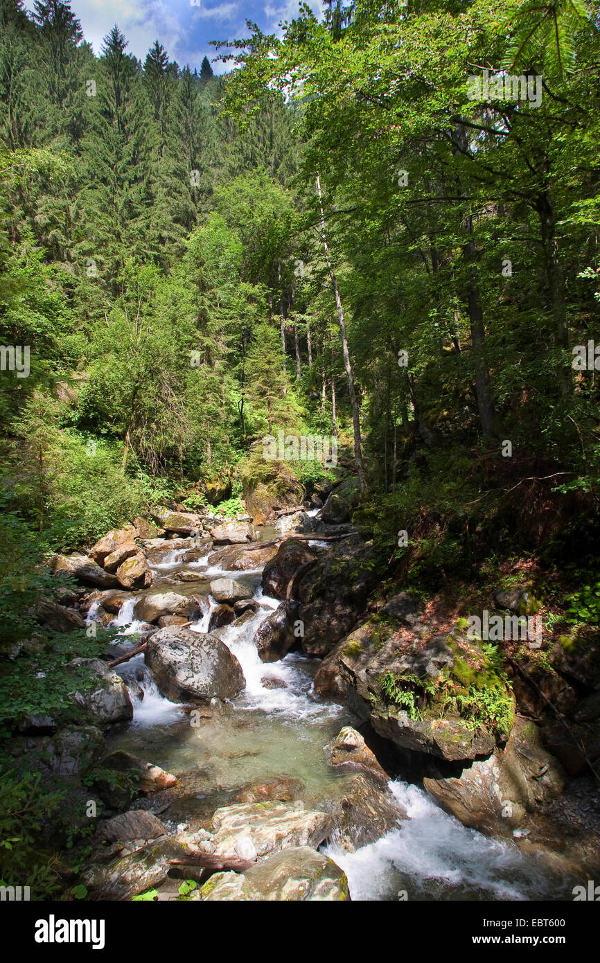 mountain creek in the Alps, Austria, Carinthia Stock Photo