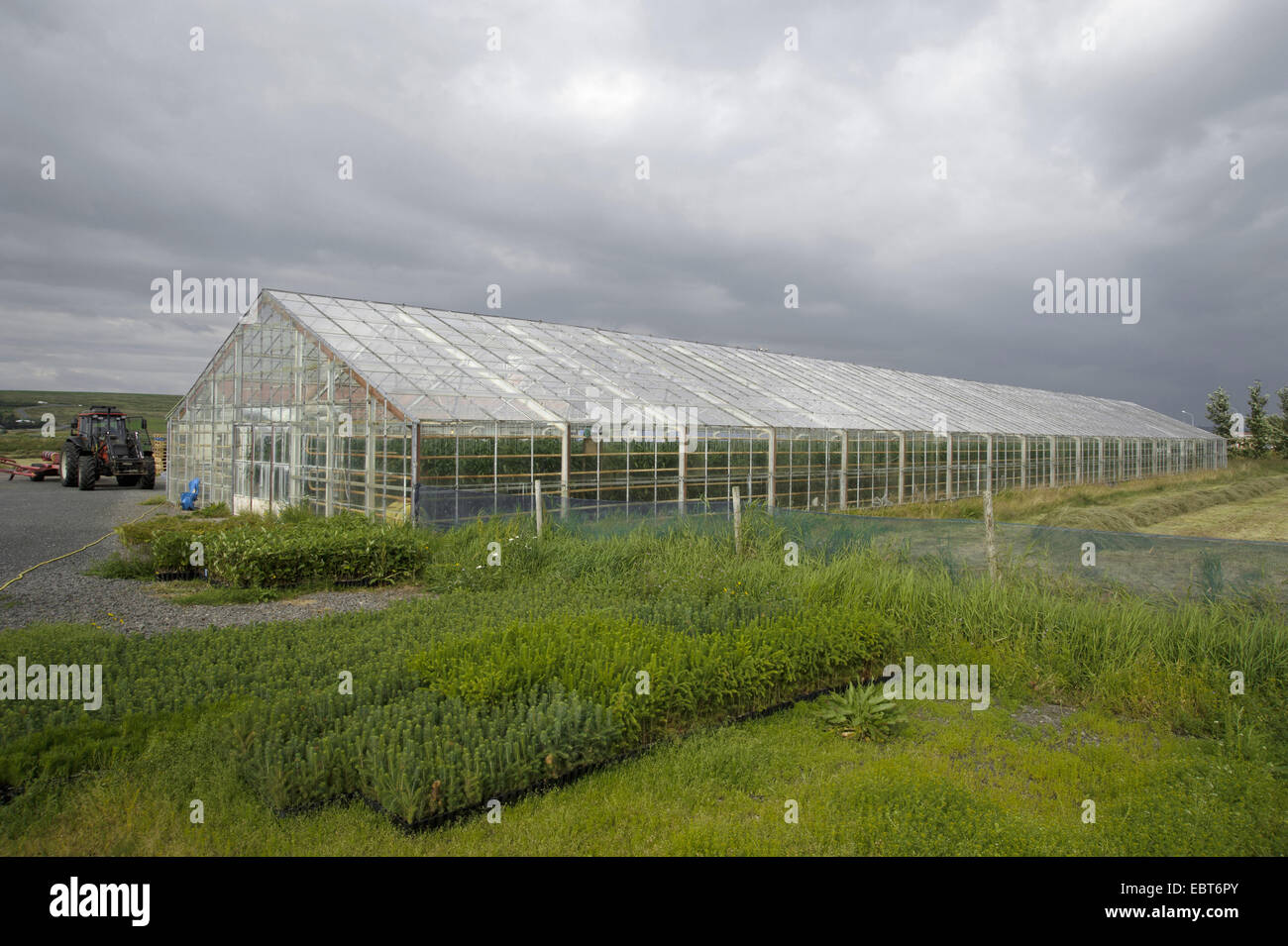 greenhouse, Iceland, Hamrar Stock Photo