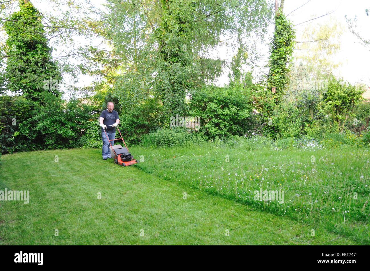 man mowing the lawn, Germany, Ruhr Area, Castrop-Rauxel Stock Photo