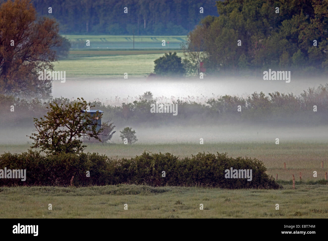 Nature reserve Ahse Wiesen in morning mist, Germany, North Rhine-Westphalia, NSG Ahse Wiesen Stock Photo