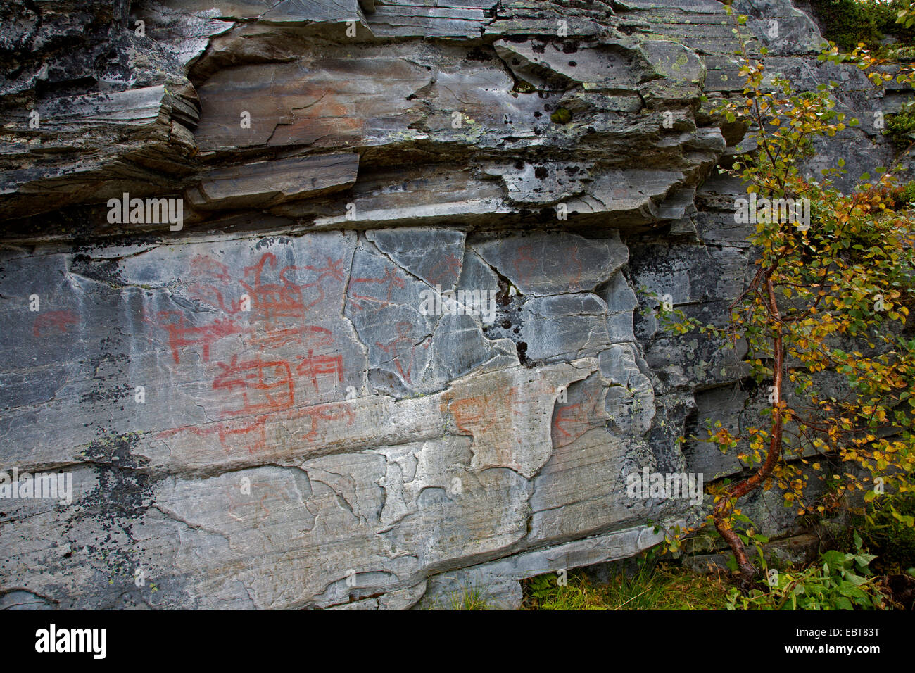 rock paintings in Messlingen, Sweden, Flatruet Stock Photo