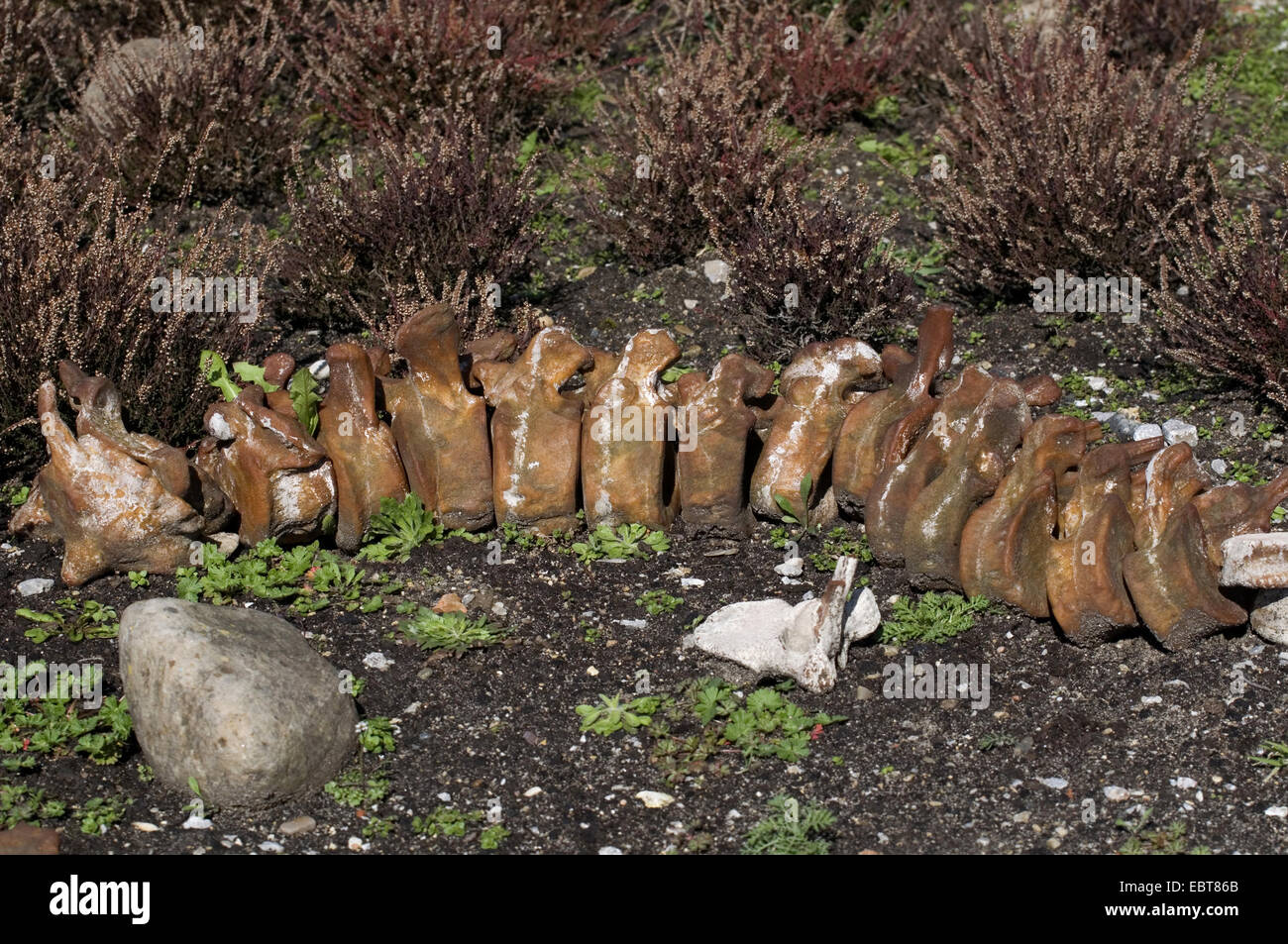 bones in garden of ice age of Salder Castle, Germany, Lower Saxony