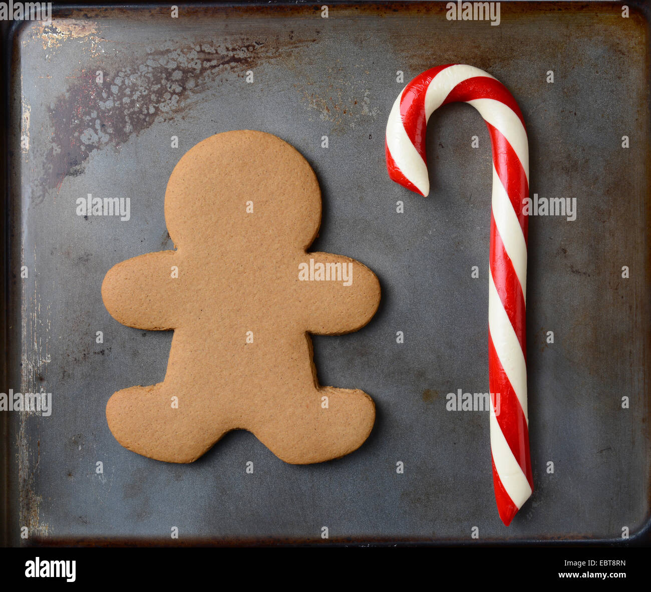 Closeup of an old fashioned candy cane and a gingerbread man on a metal cookie sheet. The cookie is undecorated. Square format. Stock Photo