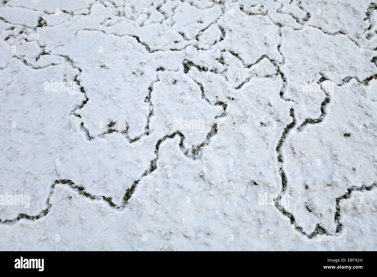 Mouse tracks in online snow