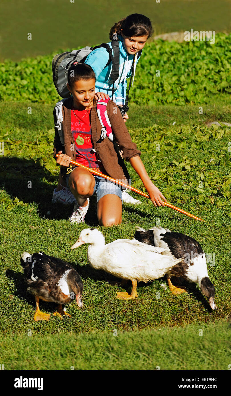 domestic duck (Anas platyrhynchos f. domestica), two teenage girls watching ducks on a farm in the Alps, France, Les MÚnuires Stock Photo