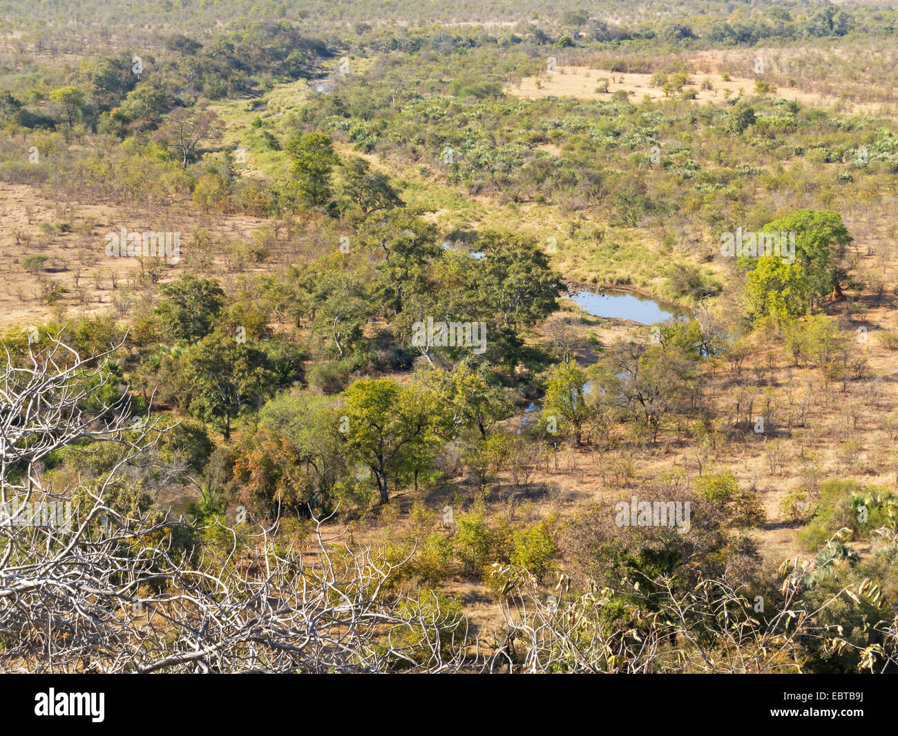 course of a river in savanna, South Africa, Tshanga Lookout, Krueger National Park, Letaba Camp Stock Photo