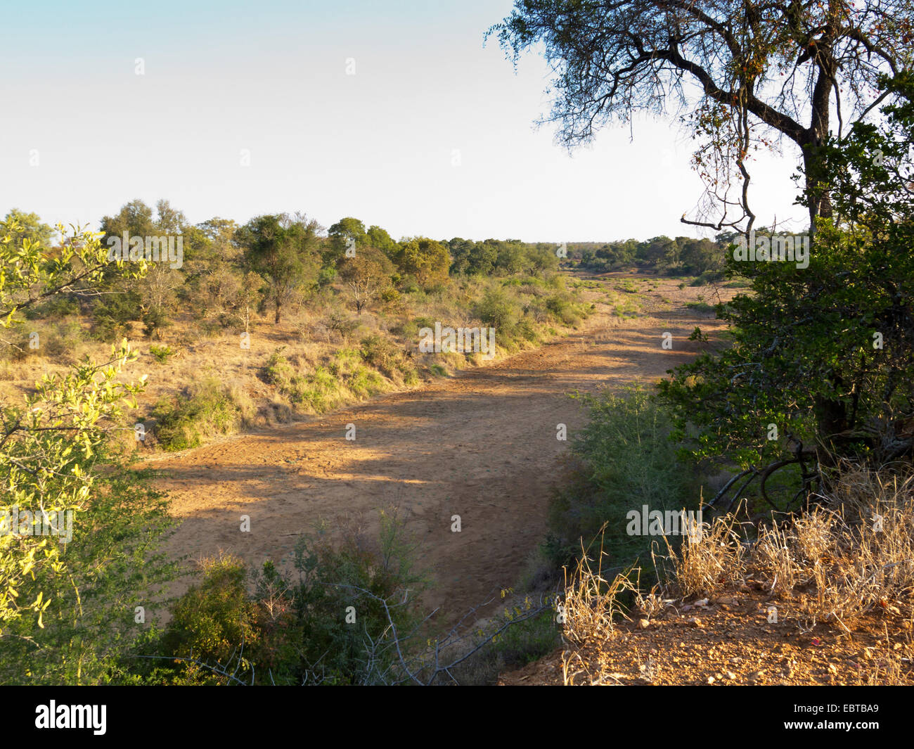 dried river bed, South Africa, Krueger National Park, Letaba Camp Stock Photo
