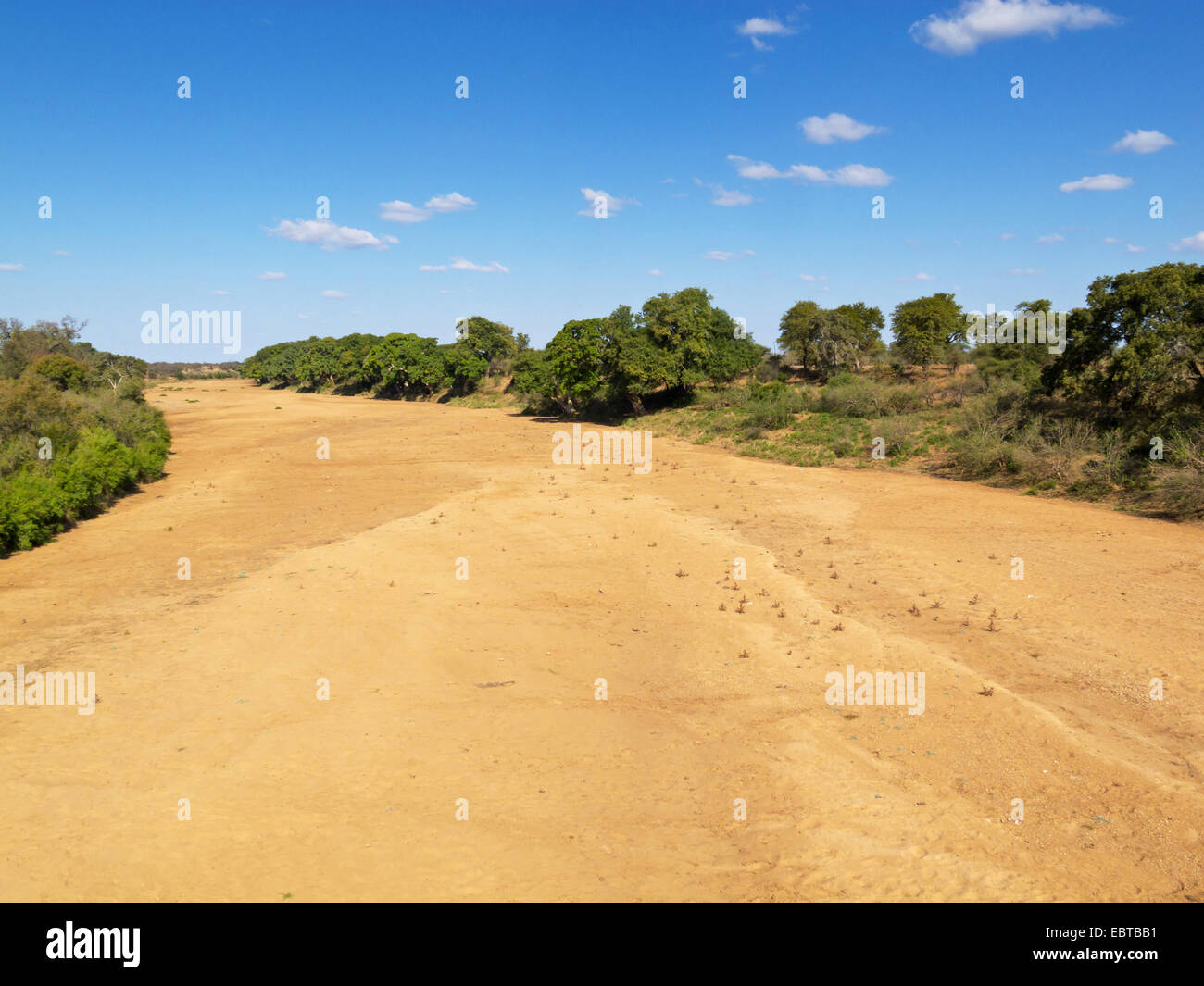 dried river bed, South Africa, Krueger National Park, Letaba Camp Stock Photo