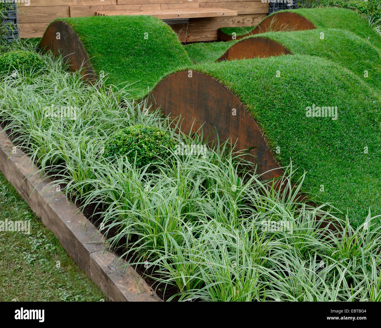 Undulating lawns in a garden replicating sound waves with grasses and lavender Stock Photo