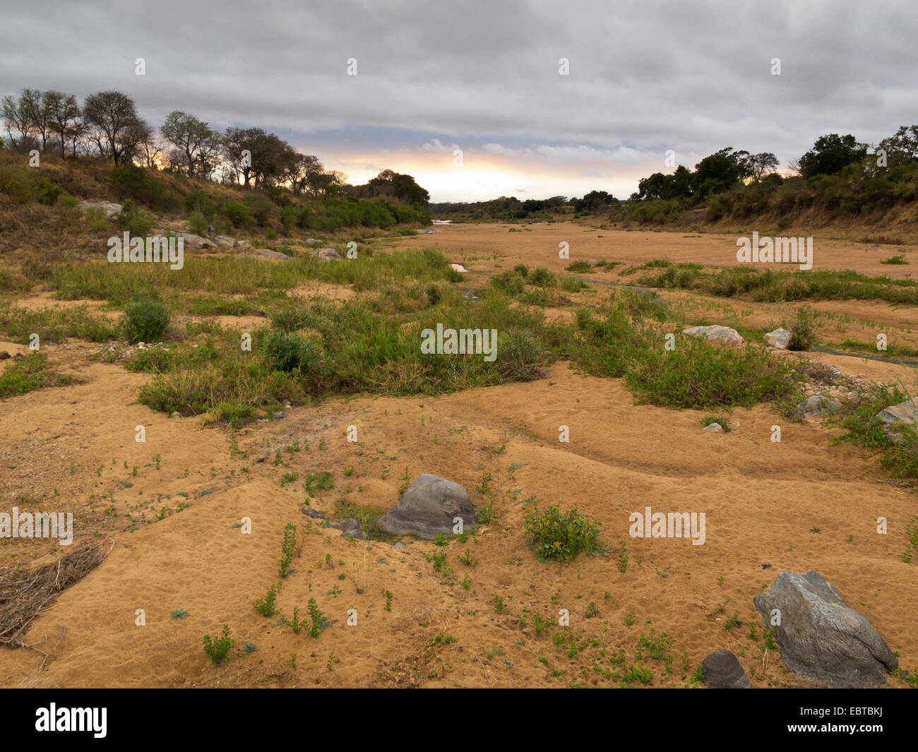 dried river bed, South Africa, Krueger National Park, Crocodile Bridge Camp Stock Photo