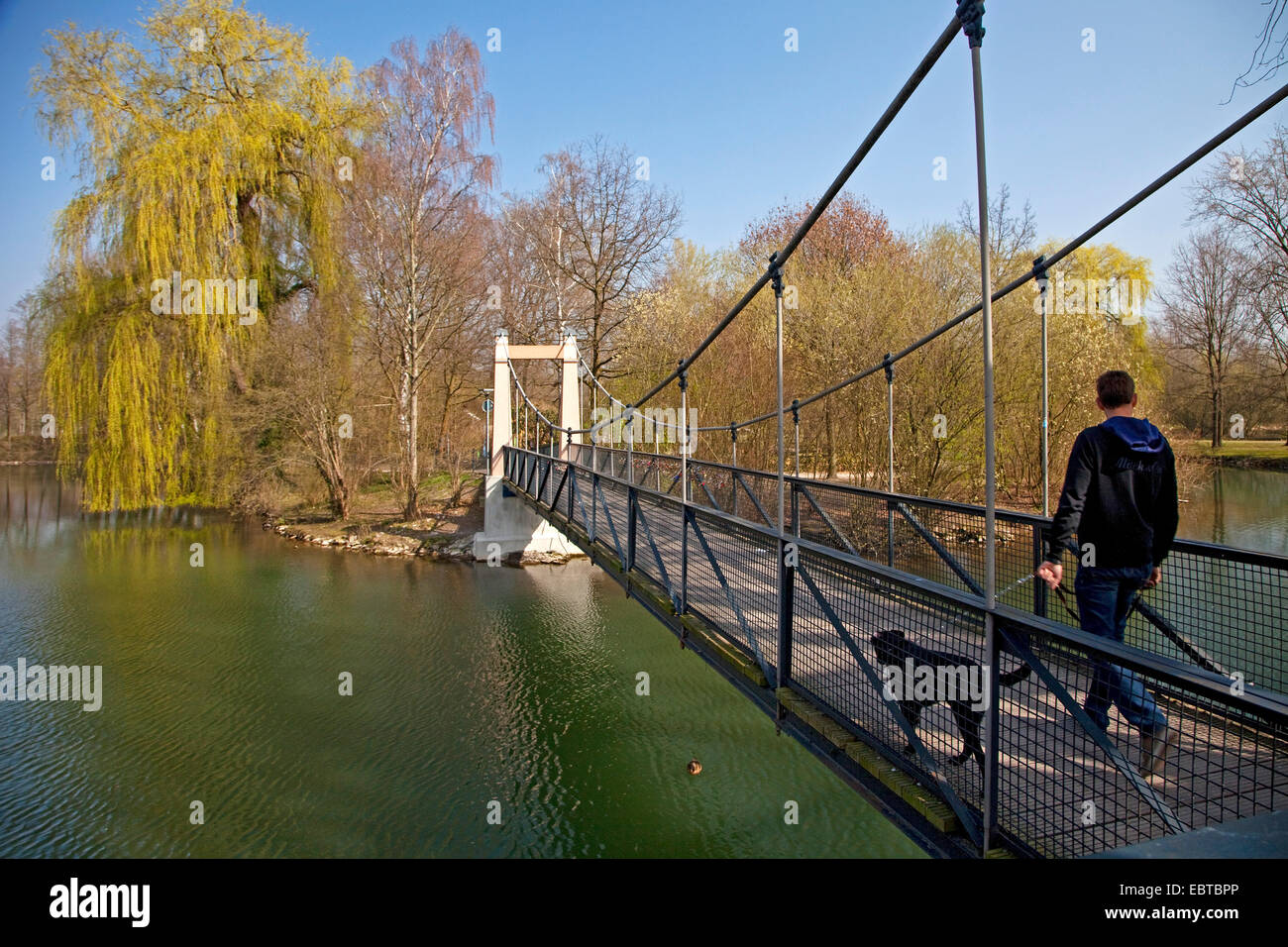 man with dog walking on the pedestrian bridge 'Mattenklodtsteg' over river Lippe , Germany, North Rhine-Westphalia, Lippstadt Stock Photo