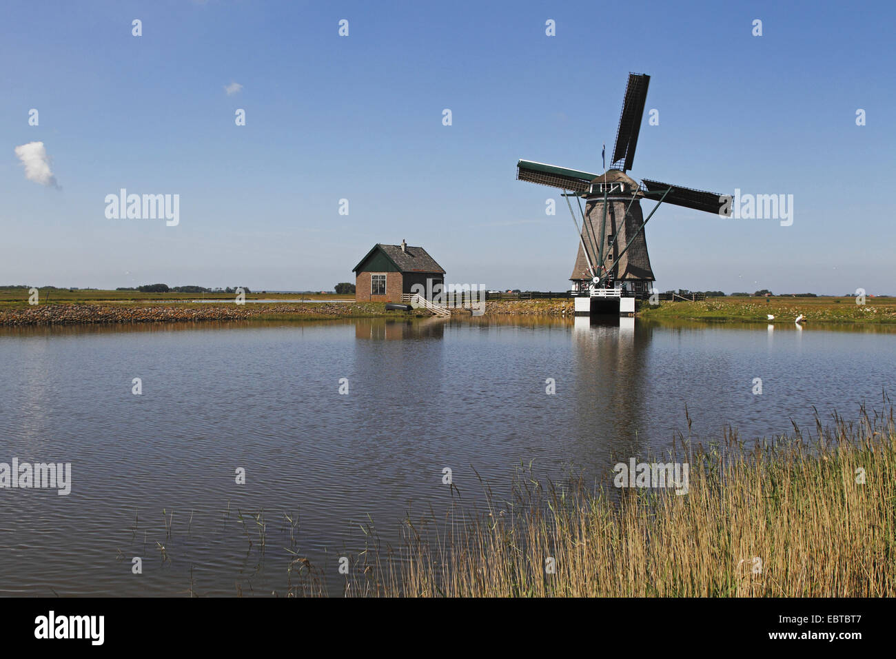 windmill at a lake, Netherlands, Texel Stock Photo