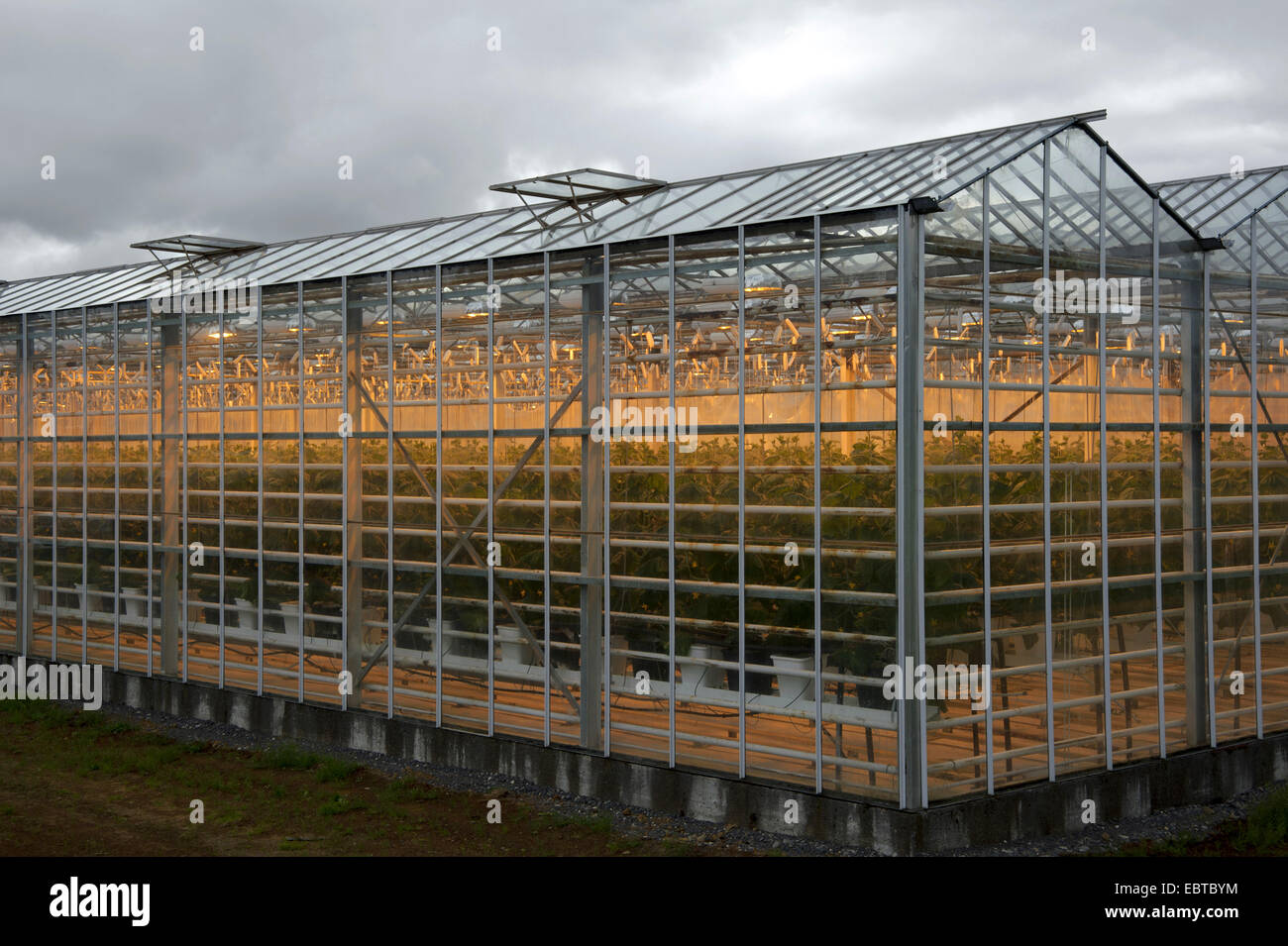 large illuminated greenhouse, Iceland Stock Photo