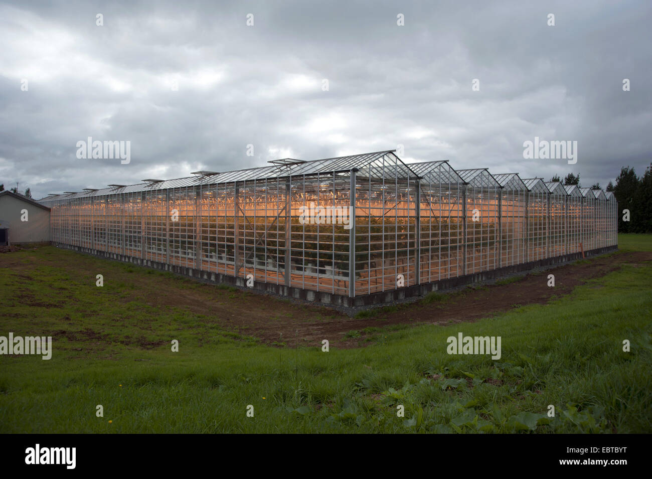 large illuminated greenhouse, Iceland Stock Photo