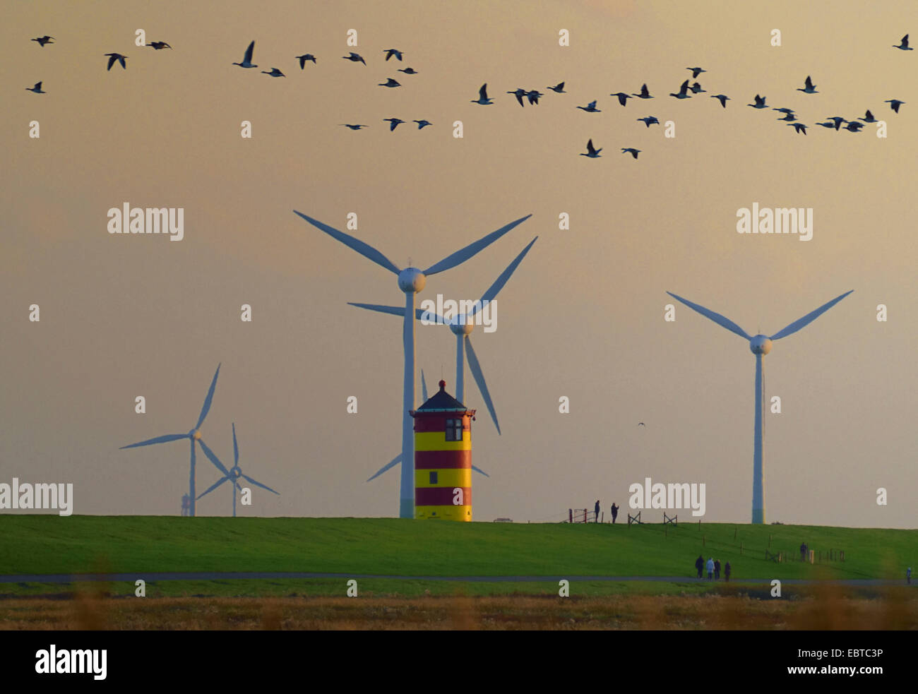 wild geese over the lighthouse of Pilsum an wind wheels, Germany, Lower Saxony, East Frisia, Pilsumer Watt Stock Photo