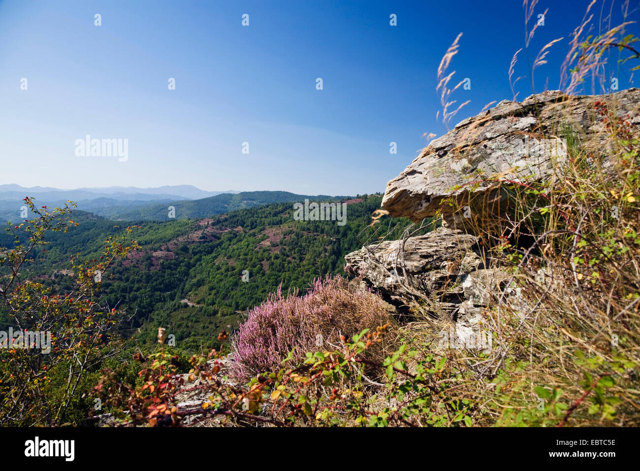 hilly natural landscape, France, Cevennes National Park Stock Photo