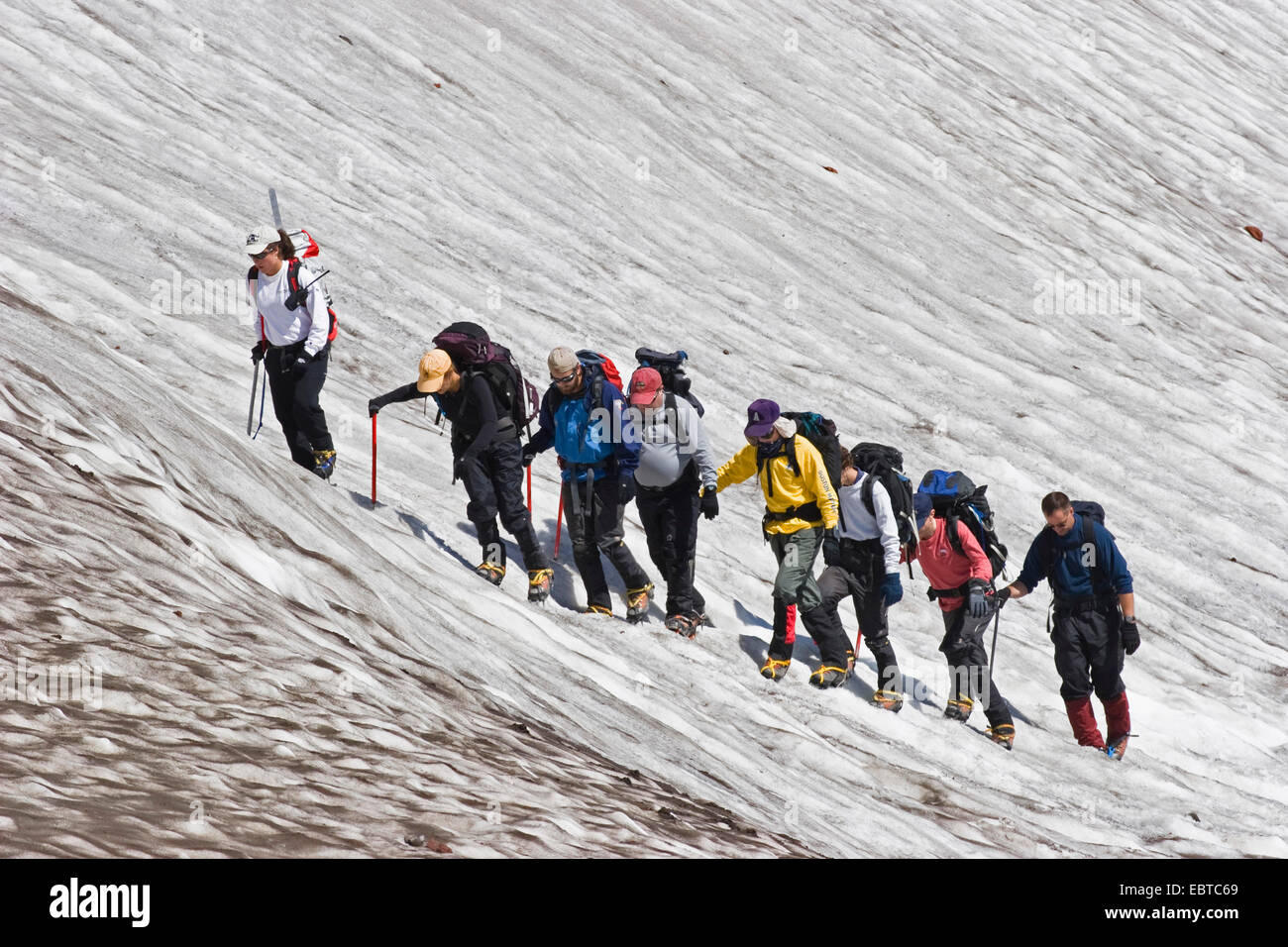 hikers crossing snow field on Mount Rainier, USA, Washington, Mount Rainier National Park Stock Photo