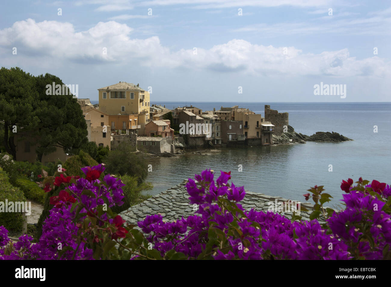view to coastal town Erbalunga, France, Corsica, Cap Corse, Erbalunga Stock Photo