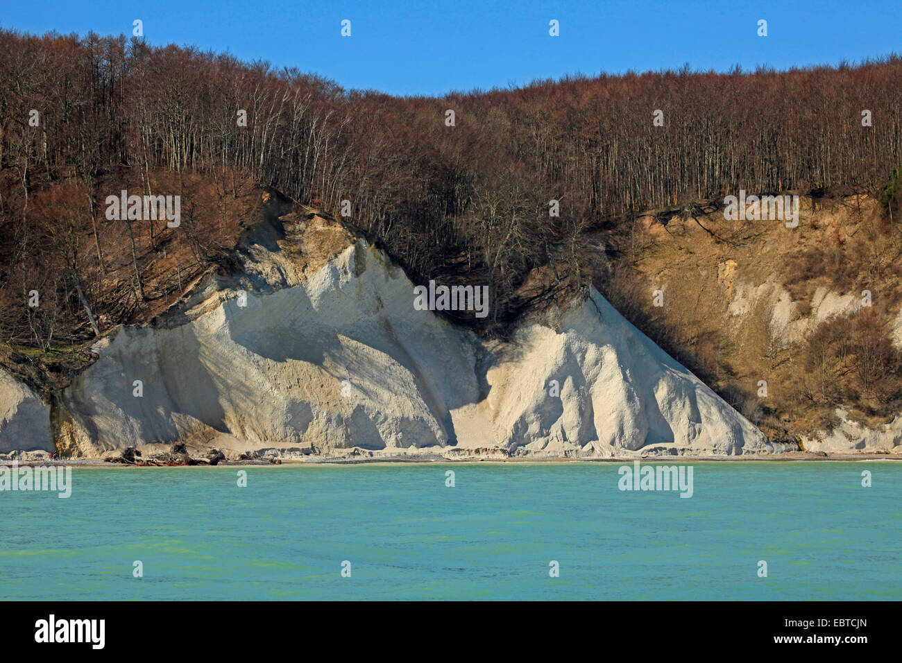 view from the sea at the steep coast with the famous chalk cliffs, Germany, Mecklenburg-Western Pomerania, Jasmund National Park, Ruegen Stock Photo