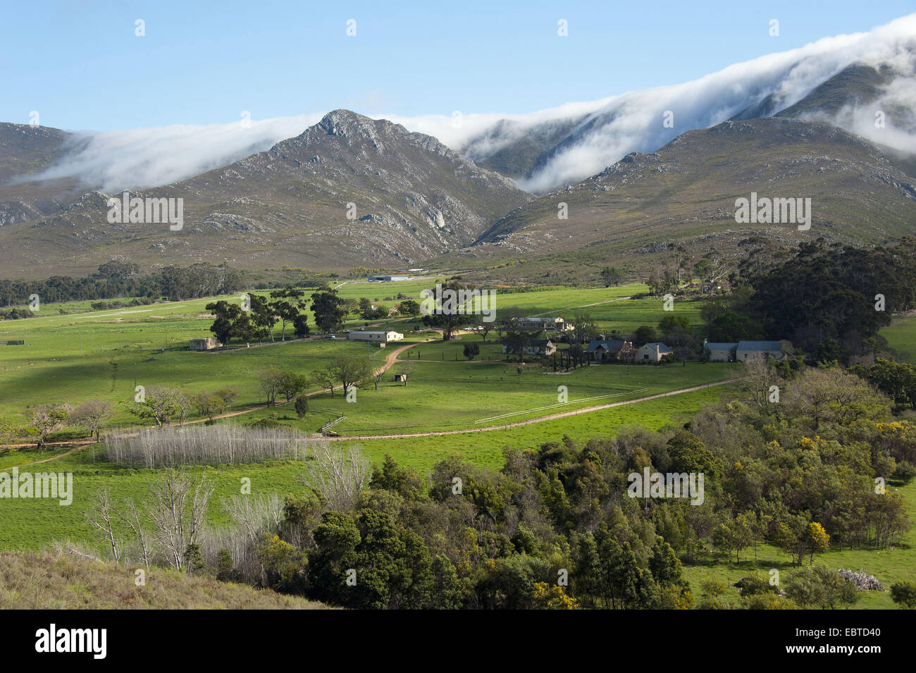 meadow and hill landscape, South Africa, Western Cape, Stanford Stock