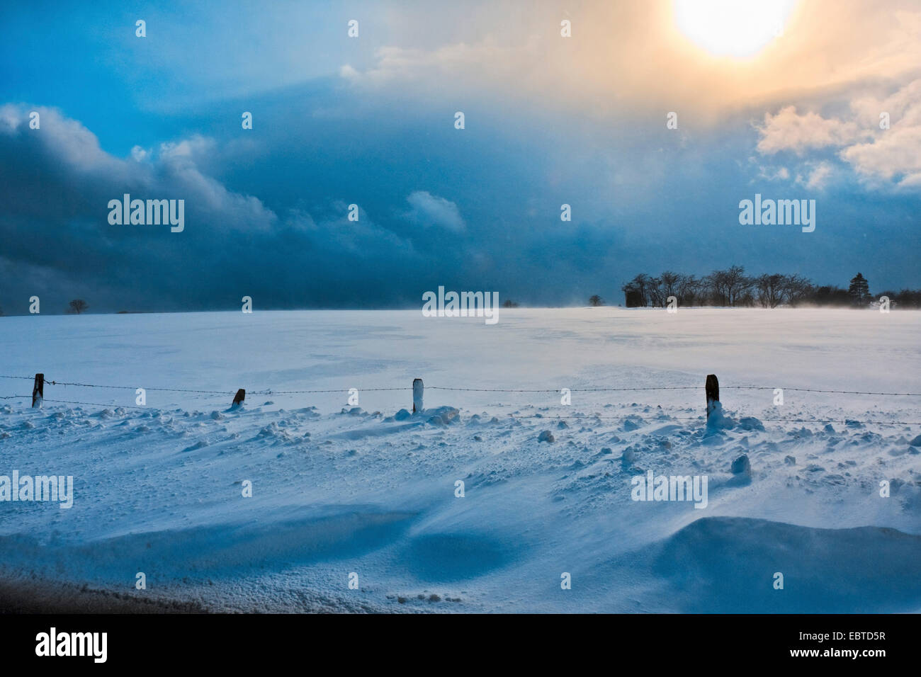 snow bank, Belgium, Ardennen, Winterlandschaft Stock Photo